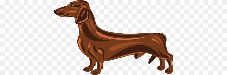 Dachshund, Animal, Canine, Dog, Hound Free Png