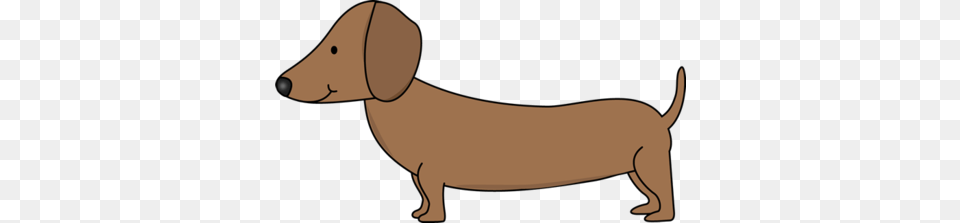 Dachshund, Snout, Animal, Fish, Sea Life Free Png Download