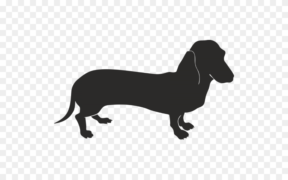 Dachshund, Stencil, Snout, Silhouette, Accessories Free Transparent Png