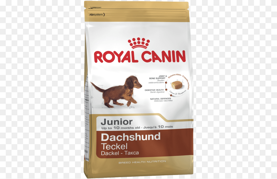 Dachshund 28 Adult Product Bag Royal Canin, Animal, Canine, Dog, Mammal Free Png Download