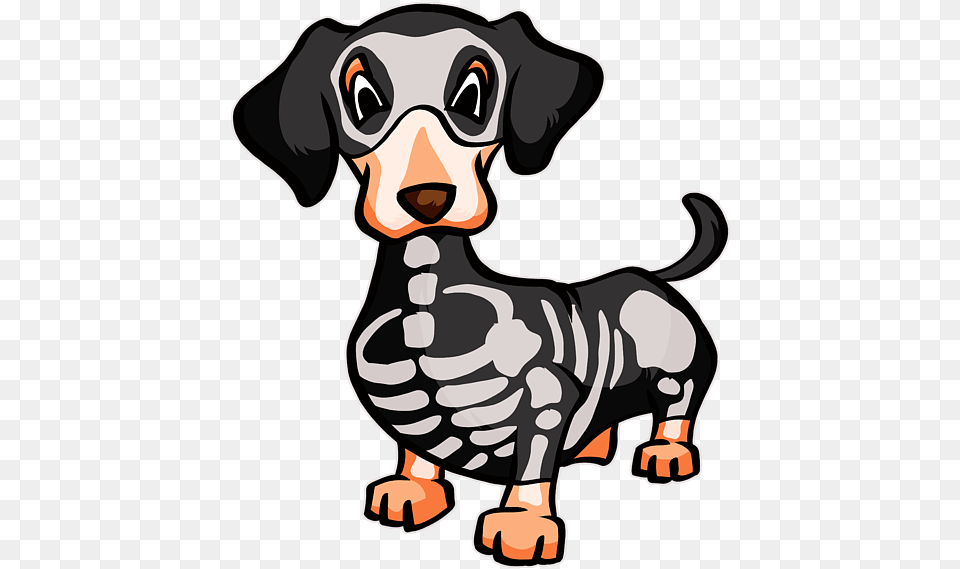Dachshund, Snout, Stencil, Baby, Person Png