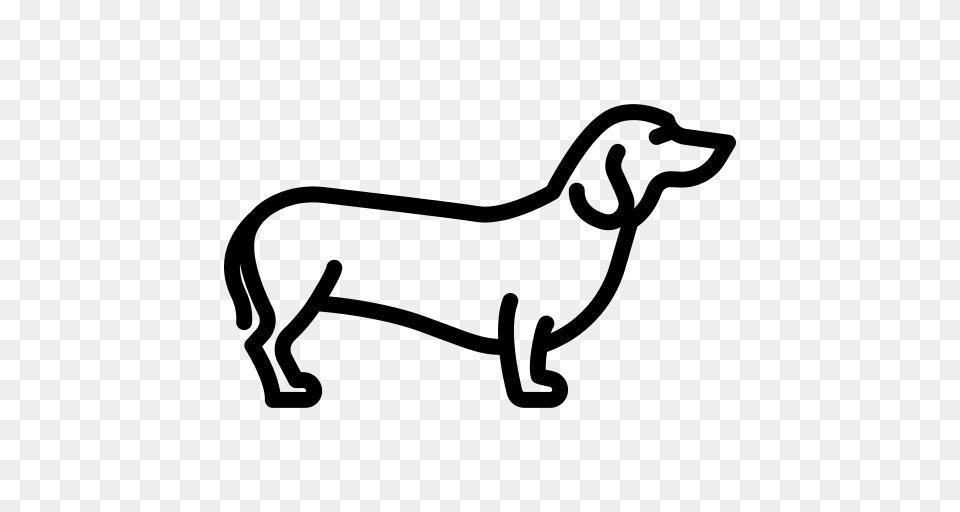 Dachshund, Gray Free Transparent Png
