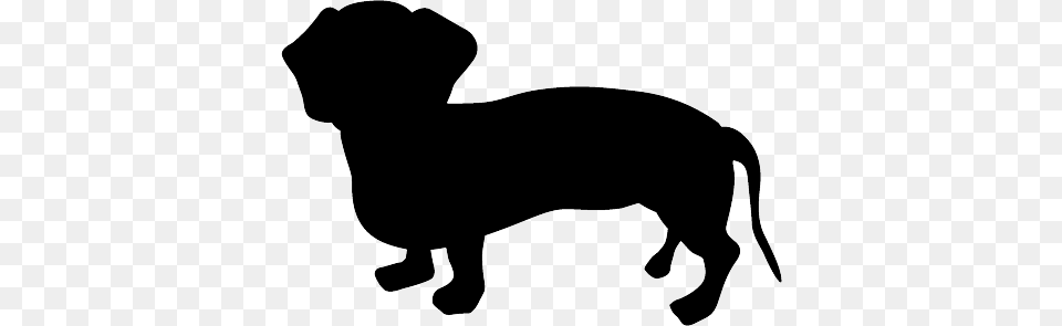 Dachshund, Silhouette, Stencil, Animal, Canine Free Png Download