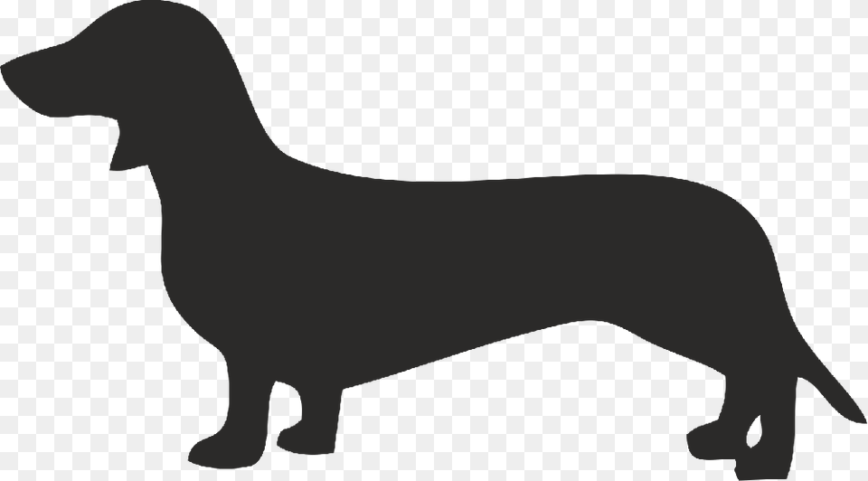 Dachshund, Silhouette, Stencil, Animal, Bear Png Image