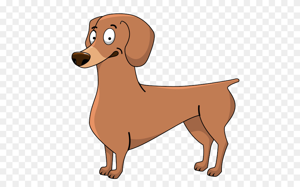 Dachshund, Snout, Animal, Canine, Dog Free Png