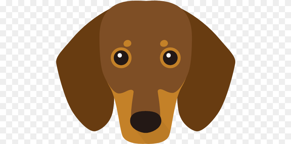 Dachshund, Animal, Pet, Mammal, Hound Png Image