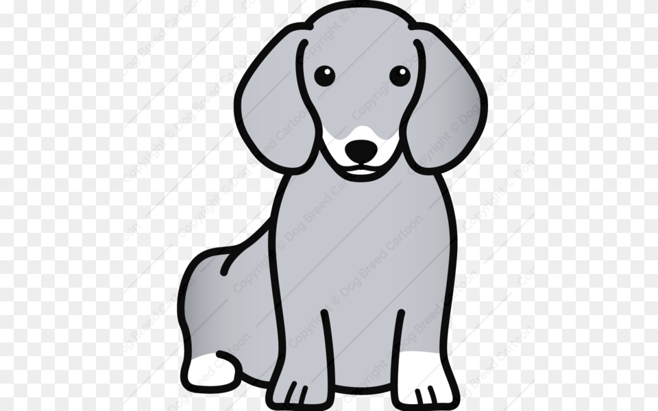 Dachshund, Animal, Canine, Dog, Mammal Png