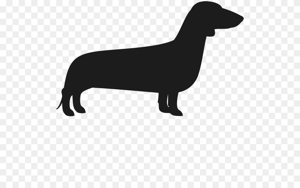 Dachshund, Silhouette, Animal, Kangaroo, Mammal Png