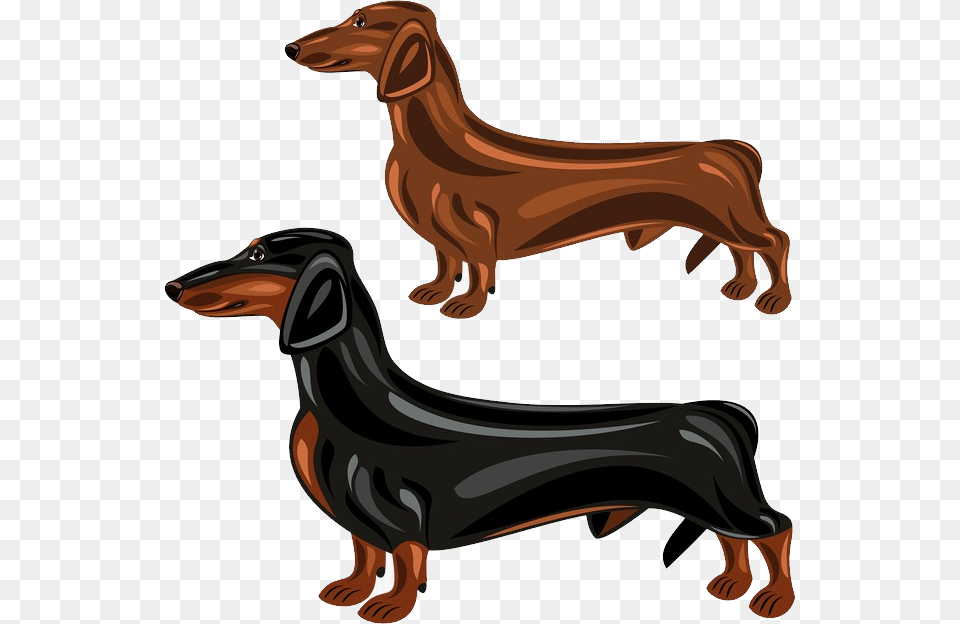Dachshund, Snout, Animal, Canine, Dog Free Transparent Png