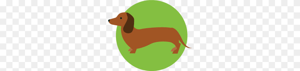 Dachshund, Animal, Fish, Sea Life, Shark Free Transparent Png