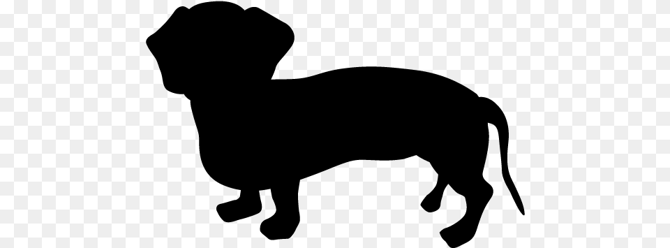 Dachshund Blank And White, Gray Free Png Download