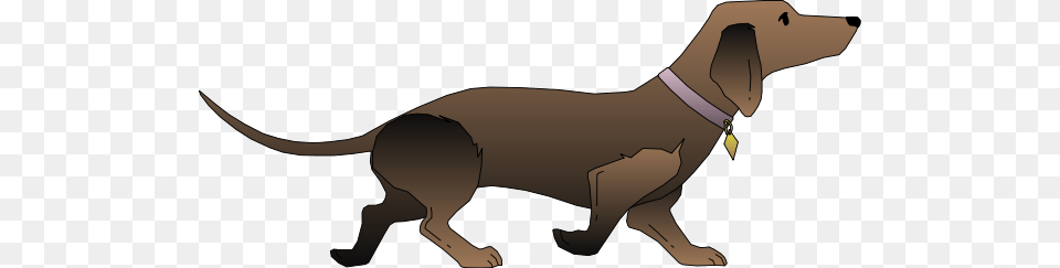 Dachshund Clip Art, Animal, Canine, Dog, Hound Png