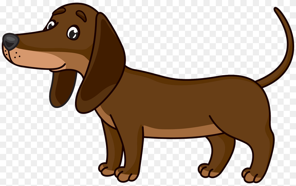 Dachshund Clipart, Animal, Canine, Dog, Hound Free Png Download