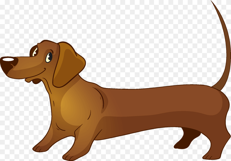 Dachshund Clipart, Animal, Canine, Dog, Hound Free Png Download