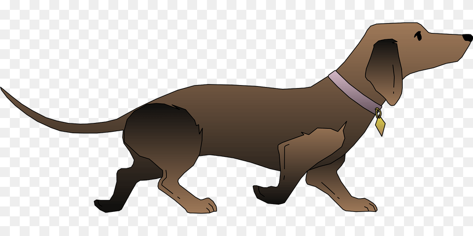 Dachshund Clipart, Animal, Canine, Dog, Pet Free Transparent Png