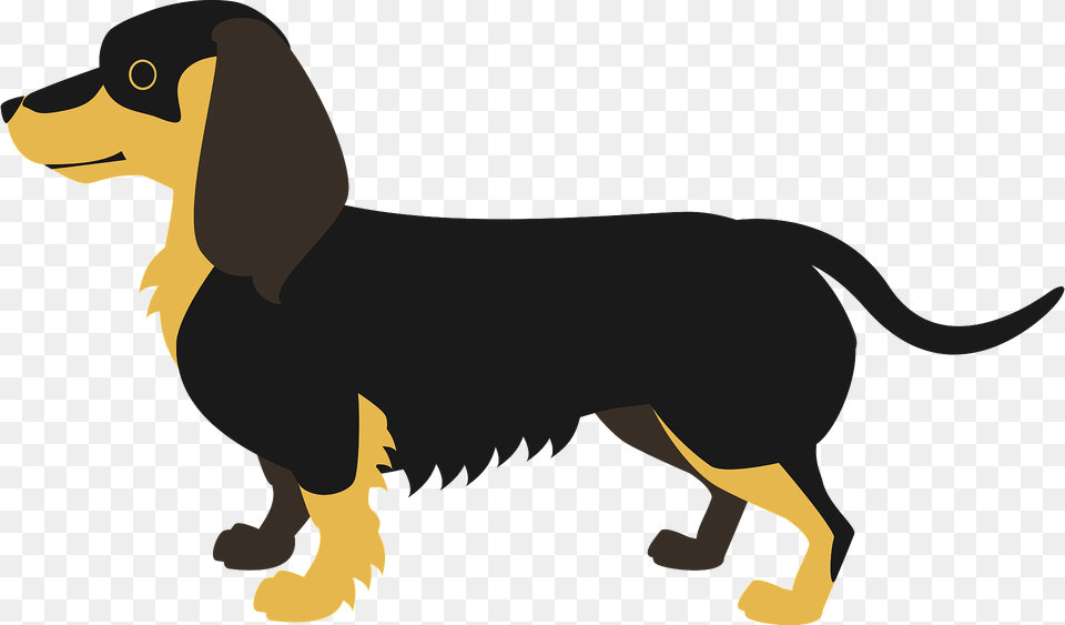 Dachshund Clipart, Animal, Canine, Dog, Hound Free Transparent Png