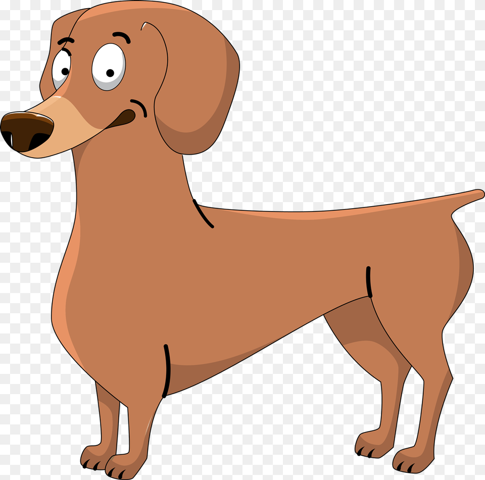 Dachshund Clipart Transparent Clip Art Mammal, Hound, Animal, Canine, Dog Png Image