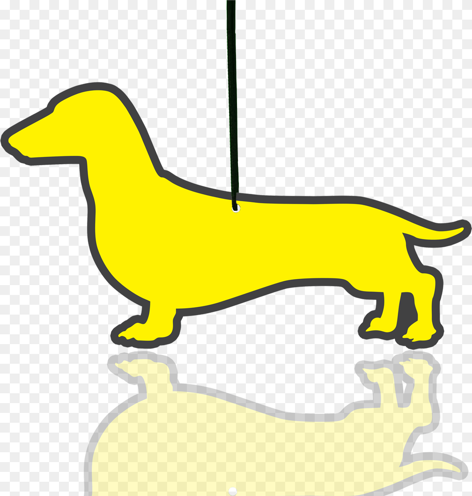 Dachshund Clipart Dachshund, Animal, Kangaroo, Mammal Free Transparent Png