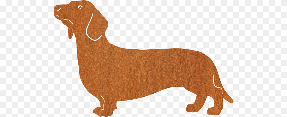 Dachshund Dachshund, Animal, Canine, Mammal, Dog Png Image