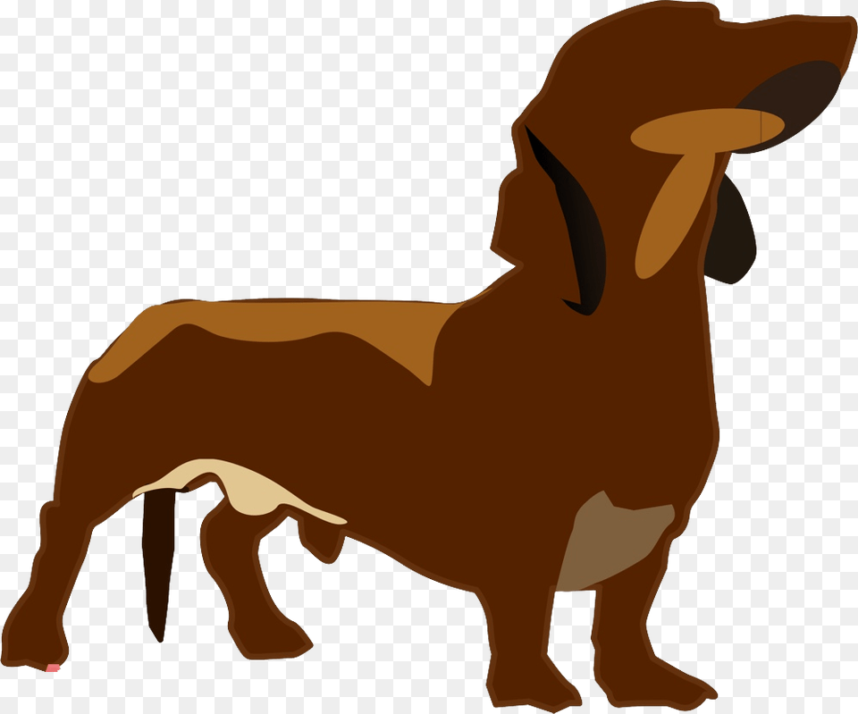 Dachshund Dachshund, Snout, Animal, Canine, Dog Png Image