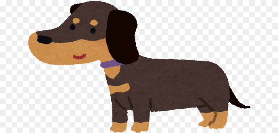 Dachshund Dog Breed Puppy Cat Black Amp Gold, Animal, Canine, Mammal, Pet Png