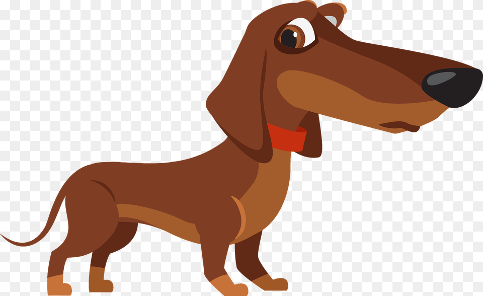 Dachshund Dog Clipart, Animal, Canine, Hound, Mammal Free Png