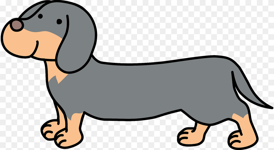 Dachshund Dog Clipart, Snout, Animal, Canine, Mammal Png Image