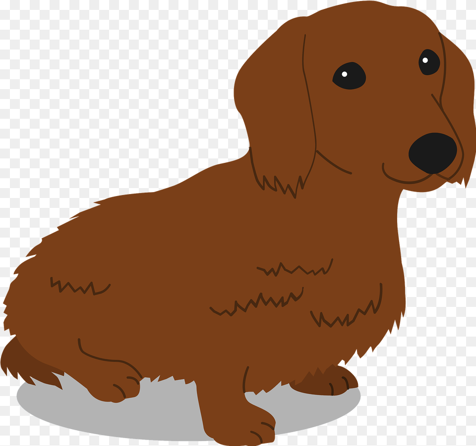 Dachshund Dog Clipart, Animal, Puppy, Pet, Mammal Free Png Download
