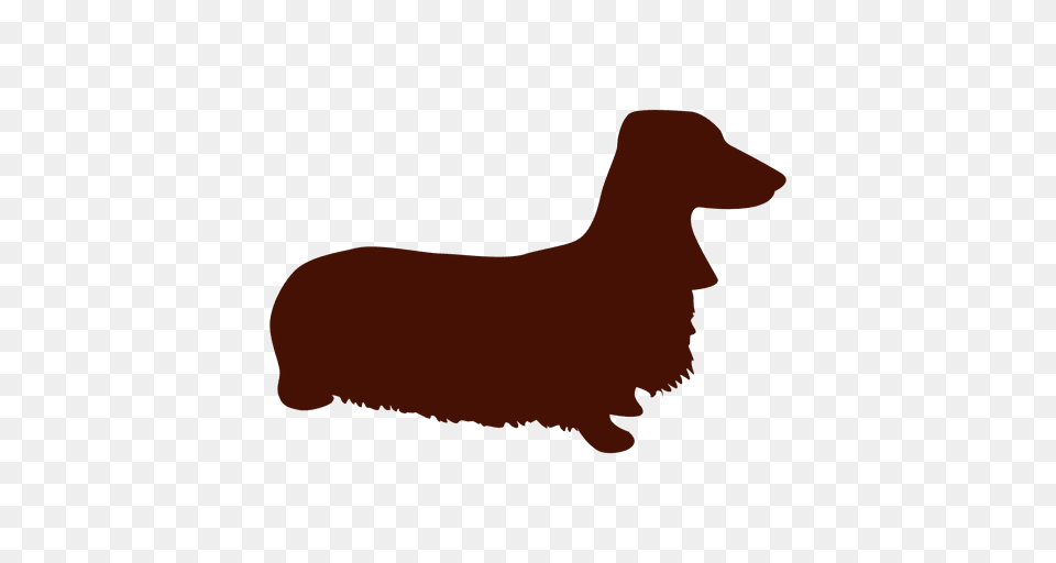 Dachshund Dog Silhouette, Snout, Animal, Bear, Mammal Png Image