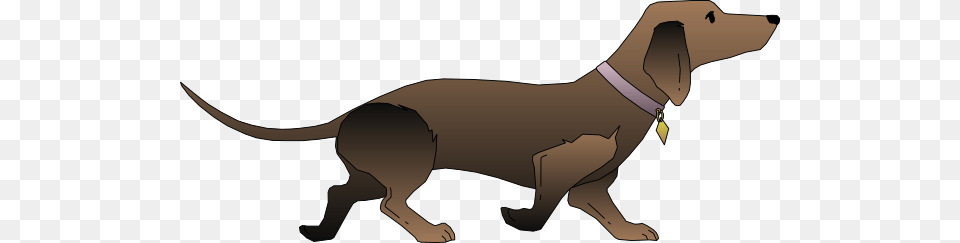 Dachshund Puppy Cliparts, Animal, Canine, Dog, Hound Png Image