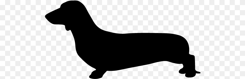 Dachshund Silhouette Sausage Dog Silhouette, Gray Free Png