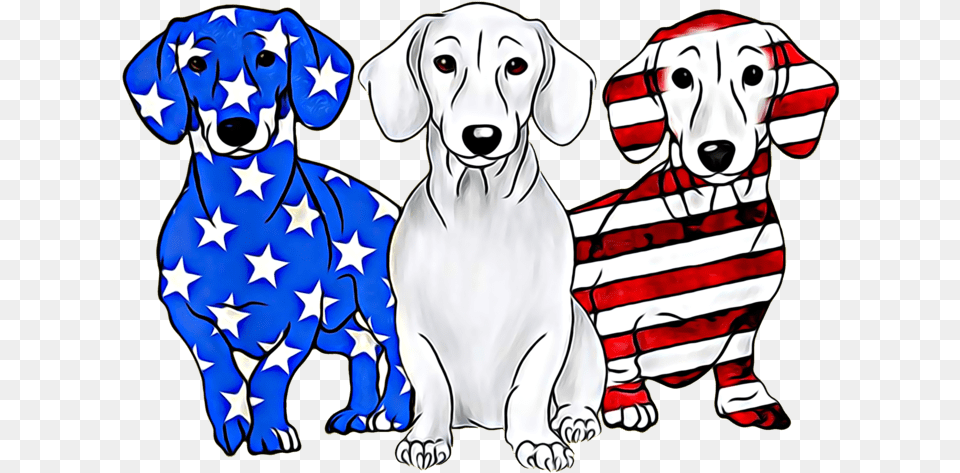 Dachshund With American Flag, Animal, Canine, Dog, Mammal Free Transparent Png