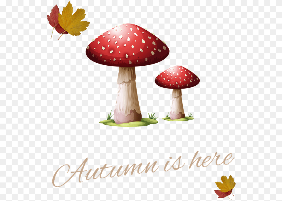 Dad Thanks For Being A Fungi, Fungus, Plant, Agaric, Mushroom Free Png