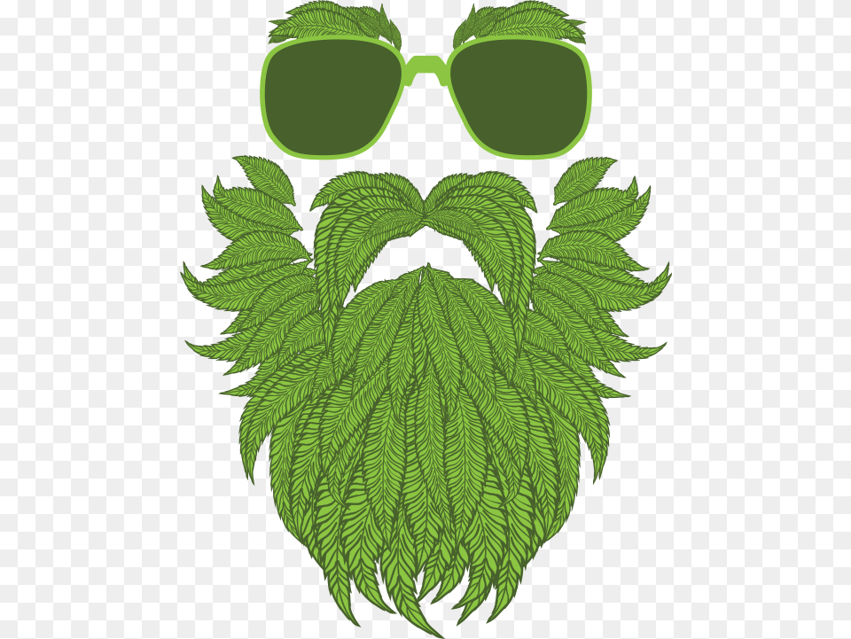 Daddy Fat Sacks Weed Cannabis, Green, Leaf, Plant, Accessories Png Image