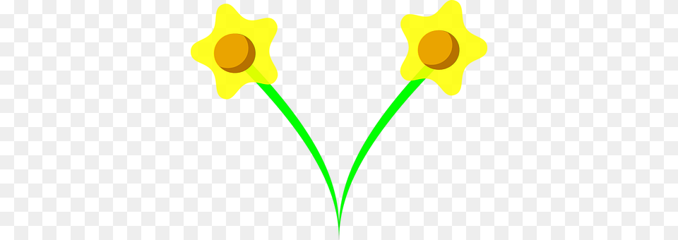 Daffodil Flower, Plant, Animal, Reptile Png