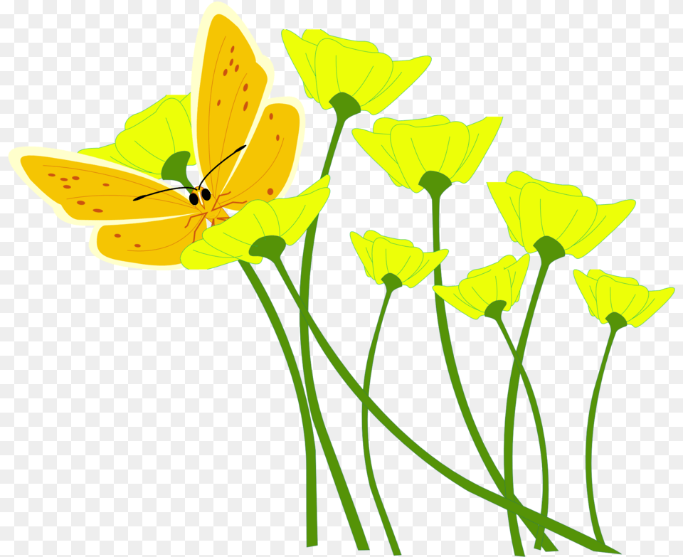 Daffodil Clip Art 18 Butterfly In Flower Vector, Anther, Petal, Plant, Green Free Png Download