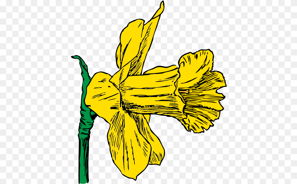 Daffodil Clip Art Svg Sideways Flower Clipart, Plant, Iris, Person, Adult Free Png Download