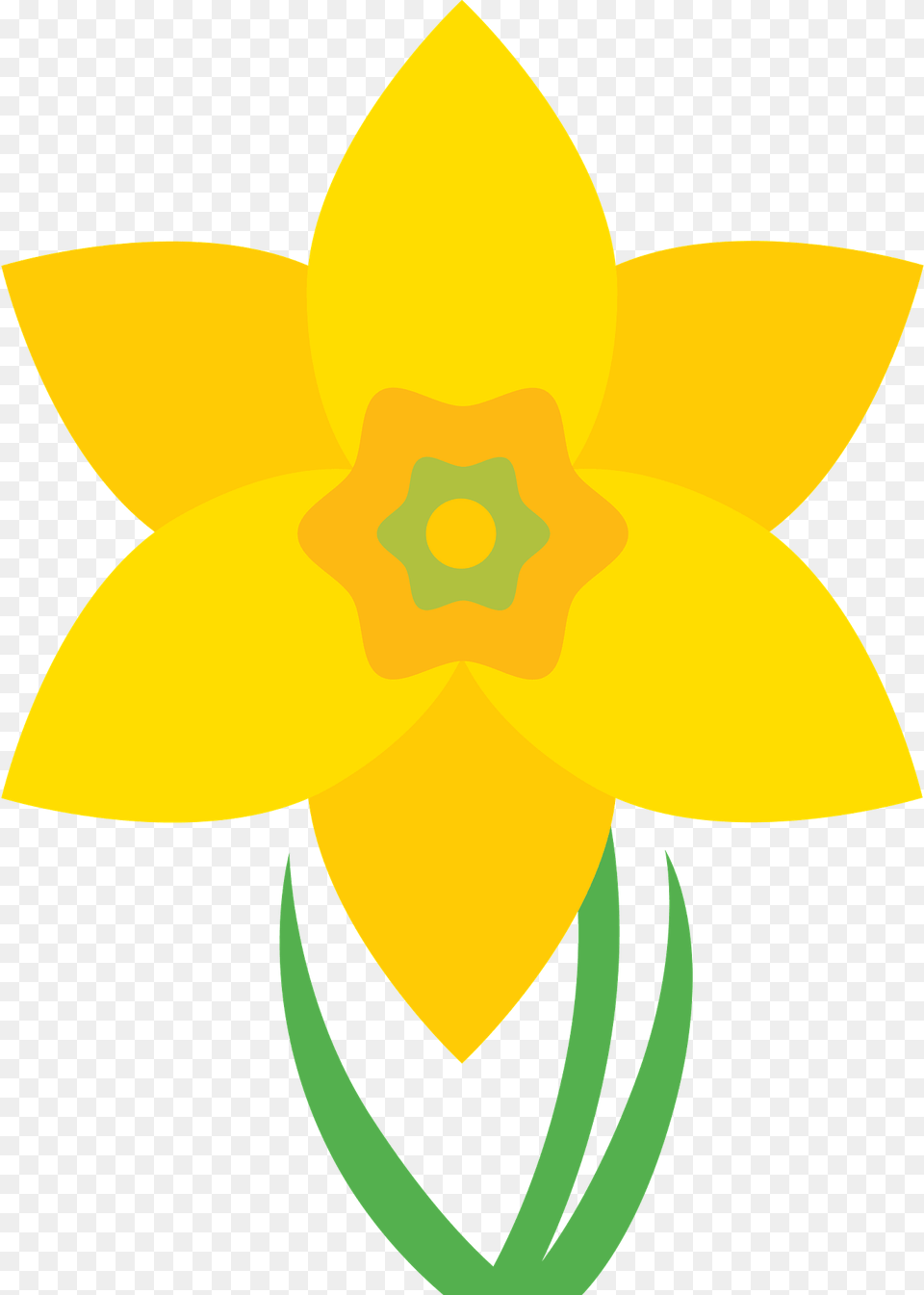 Daffodil Clipart, Flower, Plant, Person, Face Free Png Download