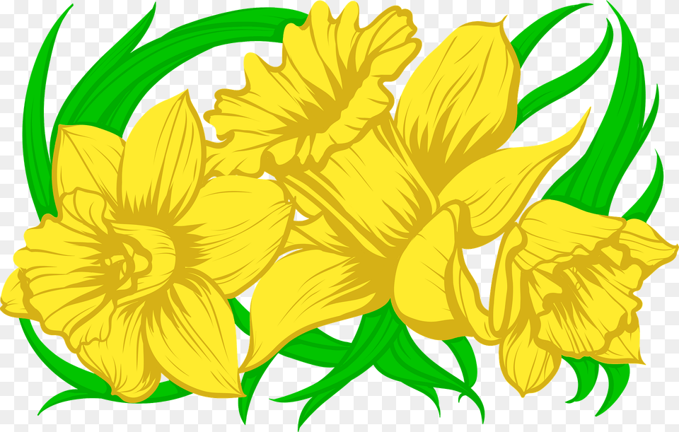 Daffodil Clipart, Flower, Plant Free Png Download