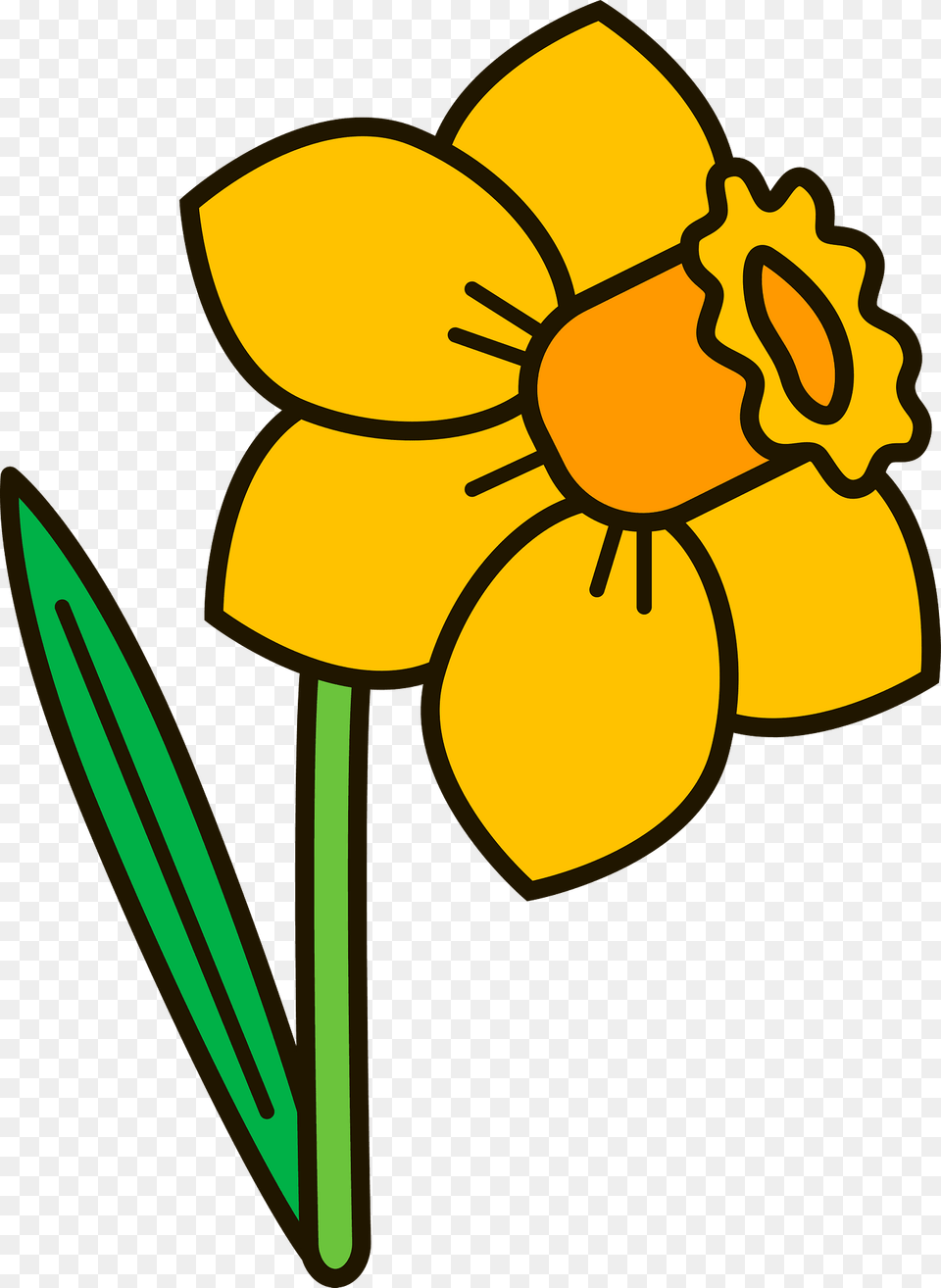 Daffodil Clipart, Flower, Plant, Blade, Dagger Free Png Download