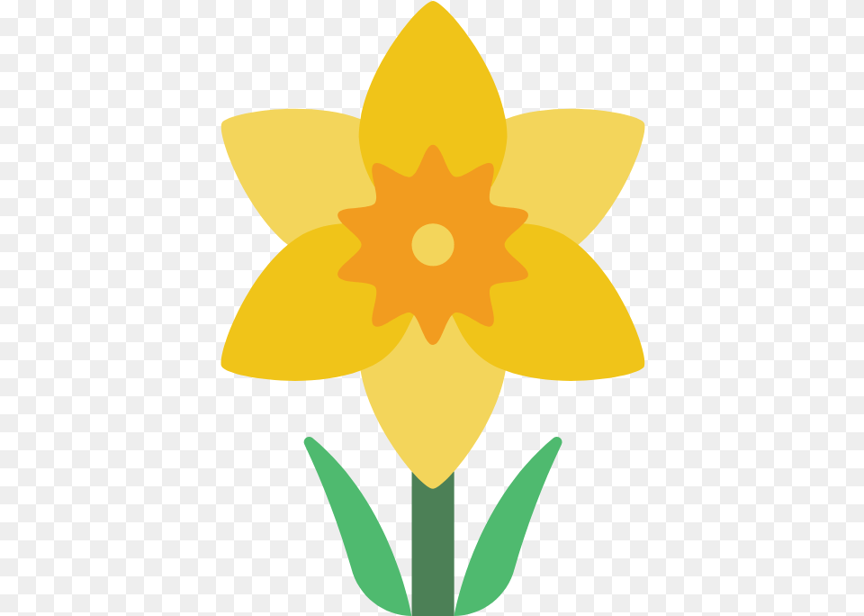 Daffodil Daffodil Icon, Flower, Plant, Person Free Png Download