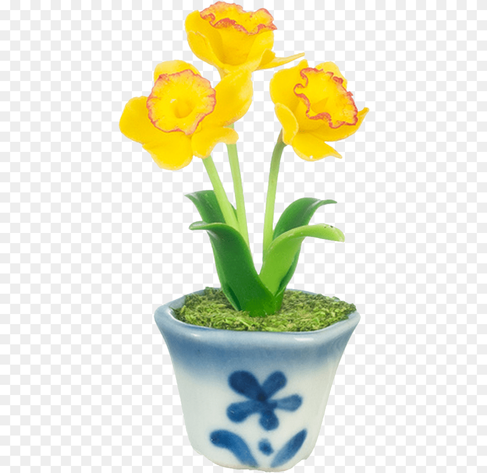 Daffodil Flowers In A Pot Dollhouse Tulip, Flower, Petal, Plant, Potted Plant Free Png Download