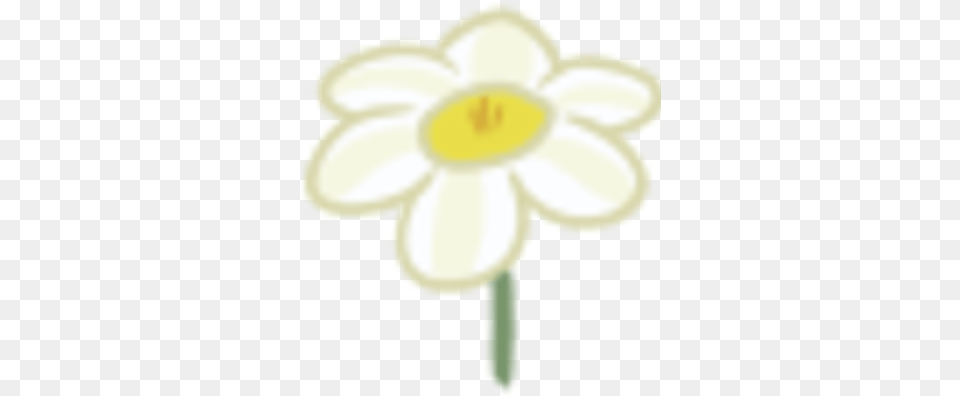 Daffodil Legends Of Equestria Wiki Fandom Lovely, Daisy, Flower, Plant, Anemone Free Png Download