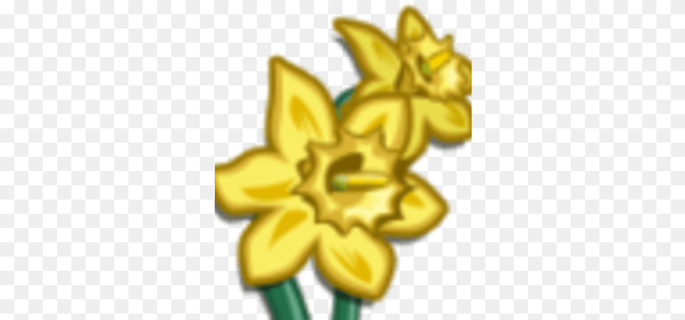 Daffodil Lovely, Flower, Plant, Person Png
