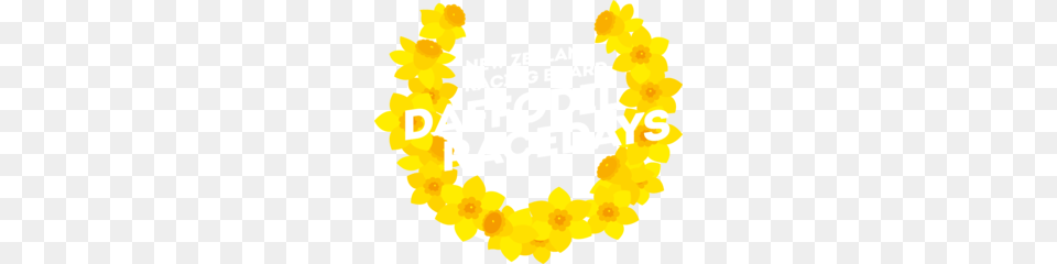 Daffodil Racedays, Accessories, Flower, Flower Arrangement, Ornament Free Png