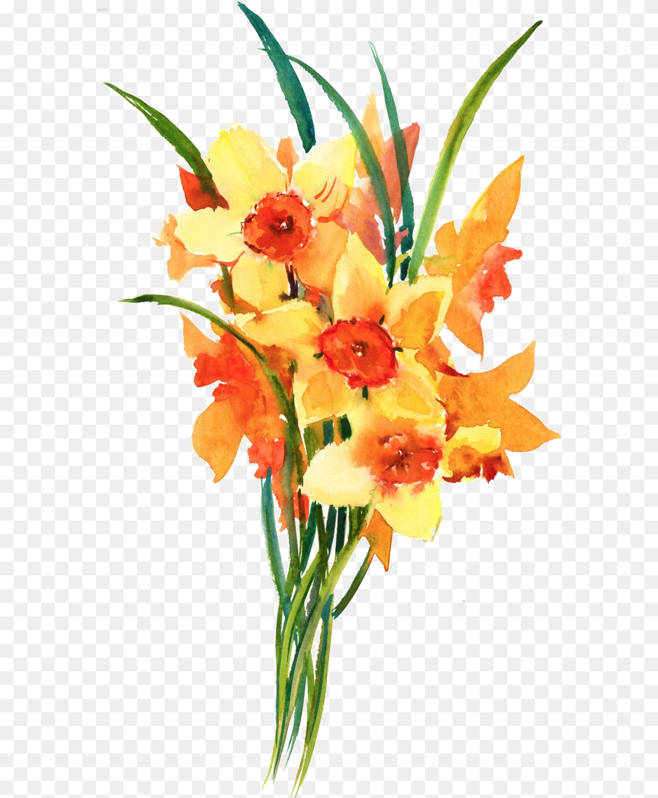 Daffodil Tribute Maine Suffrage Bouquet, Flower, Flower Arrangement, Flower Bouquet, Plant Free Png