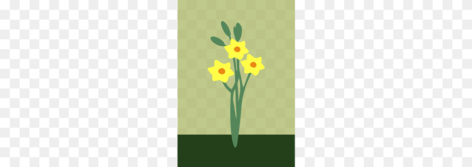 Daffodils Daffodil, Flower, Plant, Animal Png