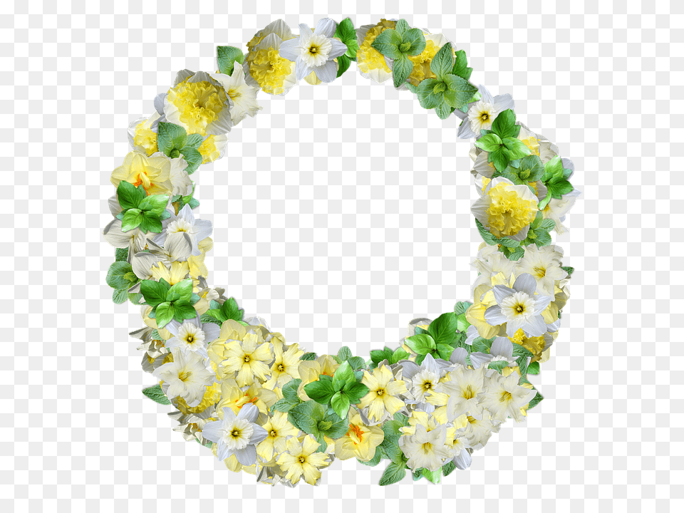 Daffodils Accessories, Flower, Flower Arrangement, Ornament Png