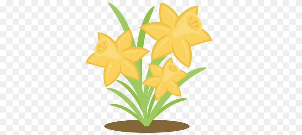 Daffodils Cutting Spring Daffodils, Daffodil, Flower, Plant, Ammunition Free Transparent Png