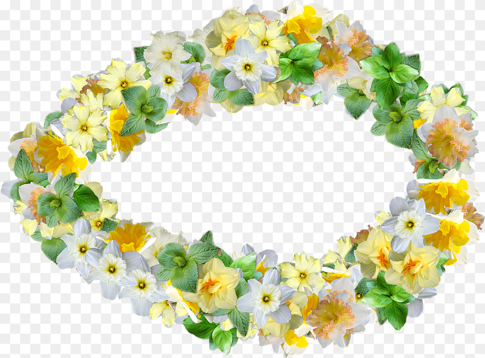 Daffodils Flowers Spring Narcissus Decoration Sunflower, Accessories, Flower, Flower Arrangement, Ornament Free Transparent Png